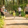 pferd-werkzeuge-lauf-06-2017 (72)