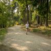 pferd-werkzeuge-lauf-06-2017 (550)