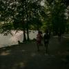 pferd-werkzeuge-lauf-06-2017 (449)