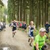 pferd-werkzeuge-lauf-06-2017 (646)