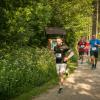 pferd-werkzeuge-lauf-06-2017 (307)