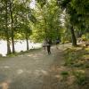 pferd-werkzeuge-lauf-06-2017 (436)