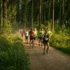 pferd-werkzeuge-lauf-06-2017 (367)