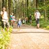 pferd-werkzeuge-lauf-06-2017 (54)