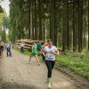 pferd-werkzeuge-lauf-06-2017 (598)