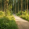 pferd-werkzeuge-lauf-06-2017 (343)