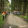 pferd-werkzeuge-lauf-06-2017 (603)