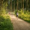 pferd-werkzeuge-lauf-06-2017 (364)