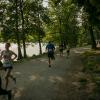 pferd-werkzeuge-lauf-06-2017 (438)