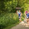 pferd-werkzeuge-lauf-06-2017 (334)