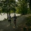 pferd-werkzeuge-lauf-06-2017 (422)