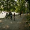 pferd-werkzeuge-lauf-06-2017 (524)