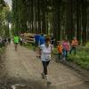pferd-werkzeuge-lauf-06-2017 (600)