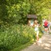 pferd-werkzeuge-lauf-06-2017 (295)
