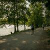 pferd-werkzeuge-lauf-06-2017 (537)