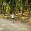 pferd-werkzeuge-lauf-06-2017 (552)