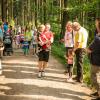 pferd-werkzeuge-lauf-06-2017 (139)