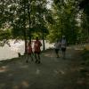 pferd-werkzeuge-lauf-06-2017 (521)