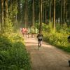pferd-werkzeuge-lauf-06-2017 (365)