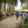 pferd-werkzeuge-lauf-06-2017 (556)