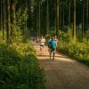 pferd-werkzeuge-lauf-06-2017 (349)