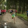 pferd-werkzeuge-lauf-06-2017 (686)