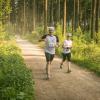 pferd-werkzeuge-lauf-06-2017 (409)