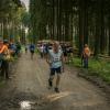 pferd-werkzeuge-lauf-06-2017 (617)