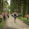 pferd-werkzeuge-lauf-06-2017 (599)