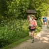 pferd-werkzeuge-lauf-06-2017 (331)