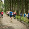 pferd-werkzeuge-lauf-06-2017 (692)
