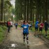 pferd-werkzeuge-lauf-06-2017 (664)
