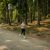 pferd-werkzeuge-lauf-06-2017 (553)