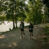 pferd-werkzeuge-lauf-06-2017 (483)