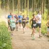 pferd-werkzeuge-lauf-06-2017 (392)