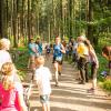 pferd-werkzeuge-lauf-06-2017 (88)