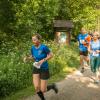 pferd-werkzeuge-lauf-06-2017 (327)