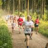 pferd-werkzeuge-lauf-06-2017 (388)