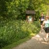 pferd-werkzeuge-lauf-06-2017 (328)