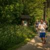pferd-werkzeuge-lauf-06-2017 (300)