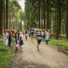 pferd-werkzeuge-lauf-06-2017 (567)