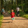 pferd-werkzeuge-lauf-06-2017 (46)