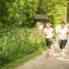 pferd-werkzeuge-lauf-06-2017 (341)
