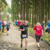 pferd-werkzeuge-lauf-06-2017 (665)