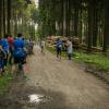 pferd-werkzeuge-lauf-06-2017 (582)