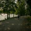 pferd-werkzeuge-lauf-06-2017 (533)