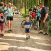 pferd-werkzeuge-lauf-06-2017 (158)