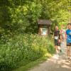 pferd-werkzeuge-lauf-06-2017 (293)