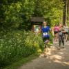 pferd-werkzeuge-lauf-06-2017 (337)
