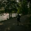pferd-werkzeuge-lauf-06-2017 (448)